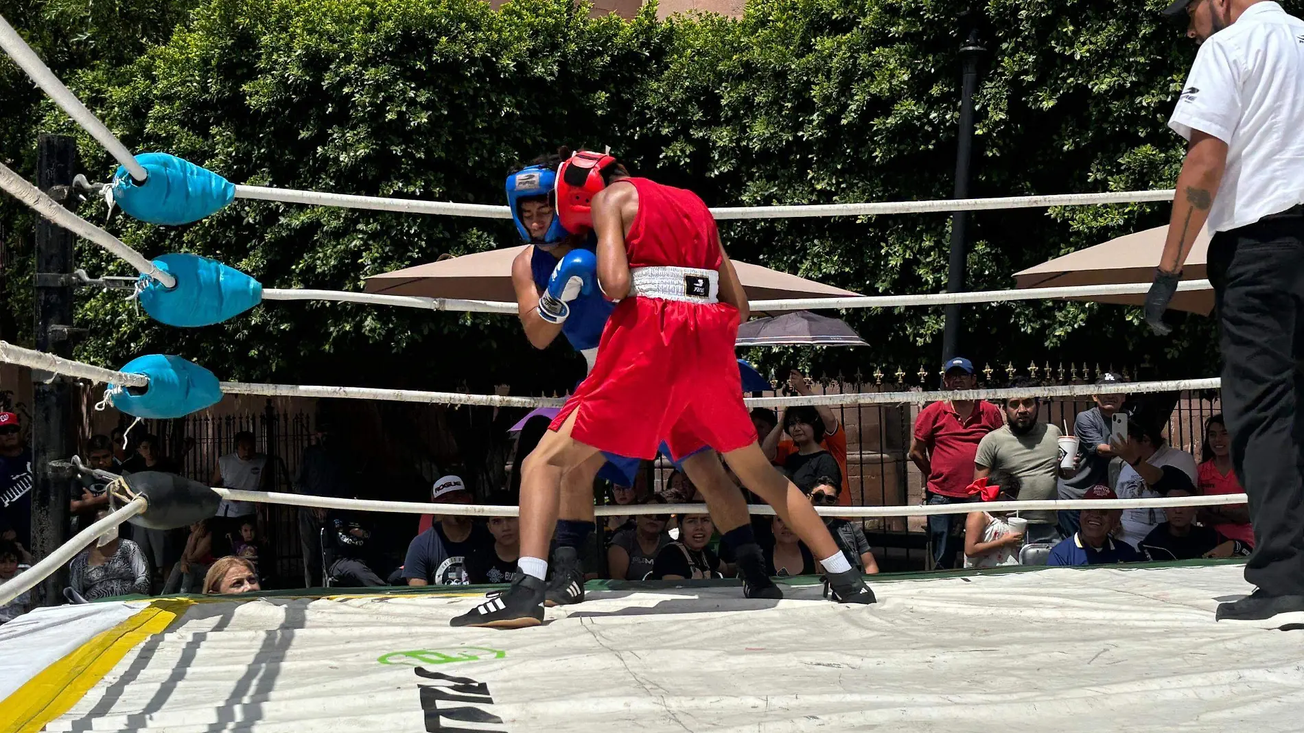 Torneo de Box de los Barrios en El Saucito (4)